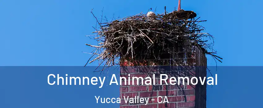  Chimney Animal Removal Yucca Valley - CA