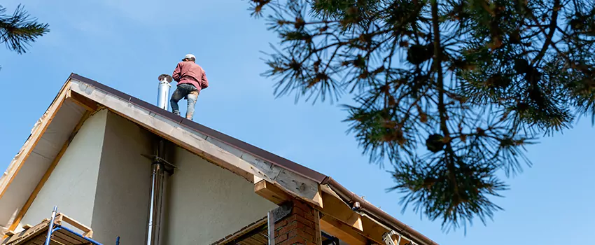 Birds Removal Contractors from Chimney in Yucca Valley, CA