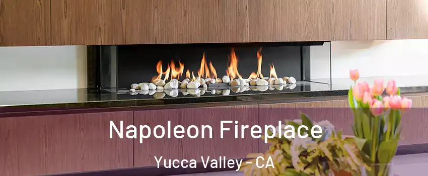  Napoleon Fireplace Yucca Valley - CA